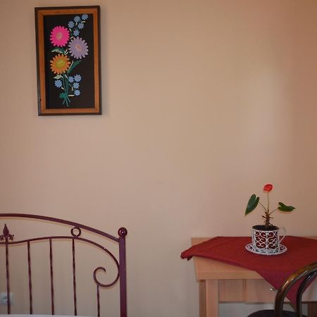 Centre Hostel 무카체베 외부 사진